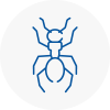 Ant Removals In Armitage