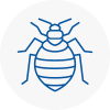 Bed Bug Extermination In Armitage