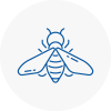 Bee Nest Removal Armitage