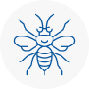 Armitage Hornet Nest Removals