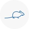 Mice Exterminators In Armitage