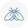 Moth Control Specialists In Armitage