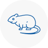 Rat Control Armitage