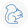 Armitage Rodent Removals
