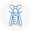 Armitage Wasp Nest Removal